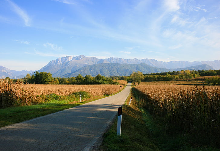 grey, pave, road, betwen, brown, grass, lands