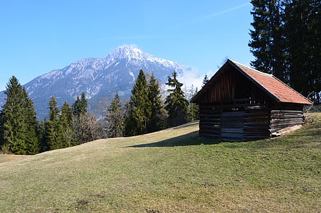 vakantie, Alpine, Oostenrijk, berg, natuur, buitenshuis, landschap
