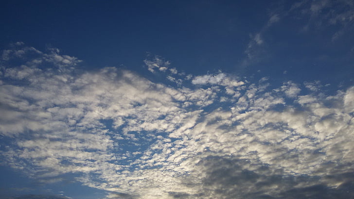 sky, clouds, cotton, blue sky