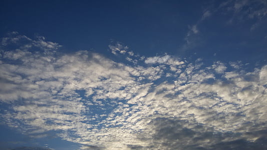 cielo, nuvole, cotone, cielo blu