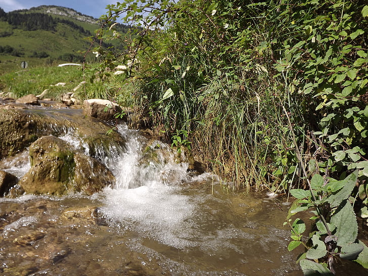 cursos d'aigua, muntanya, natura