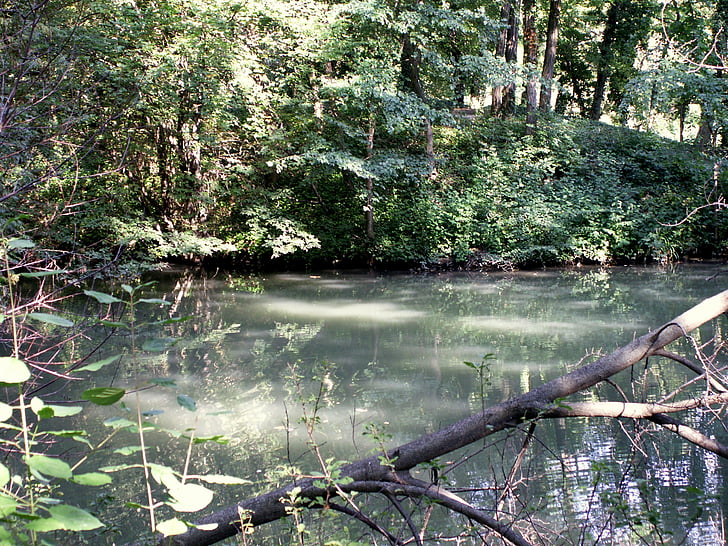 vienna, park, pond, water