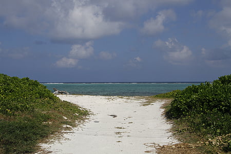 Caymansaaret, Island, Sand, loma, Karibia, Tropical, Cayman