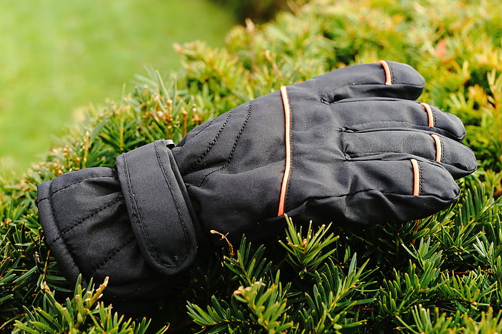 glove, hedge, winter, lost, forget, bush, periwinkle