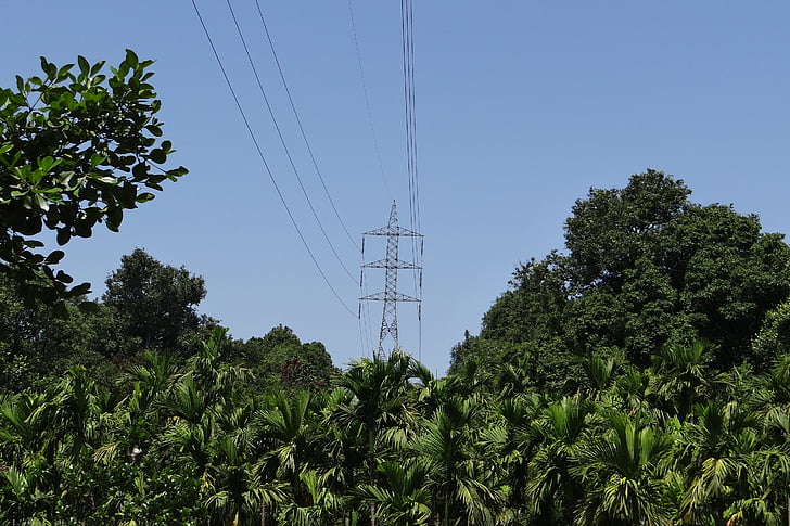 pylón, elektrickej energie, napájanie, riadky, vysoké napätie, hustý les, Mountain