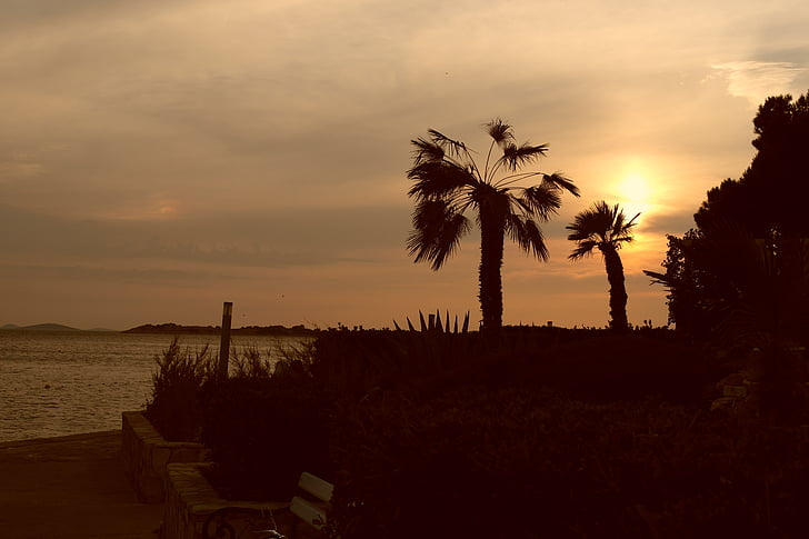 beach, sunset, trees, shadow, holidays, summer