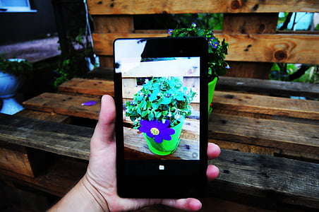 tablette de photo, paysage, fleurs, printemps, herbe, été, téléphone intelligent