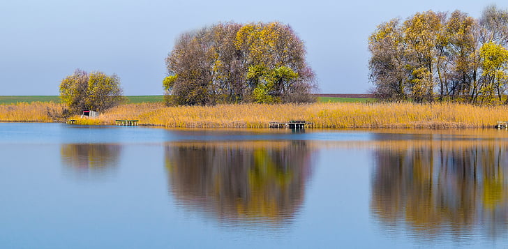 jeseň, pokojný, jazero, zrkadlo, reflexie, vody, Waterfront