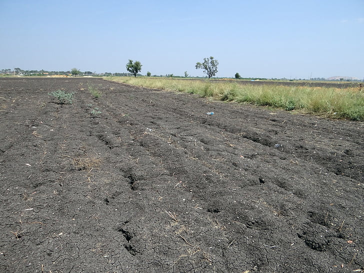 fekete talaj, regur, trópusi csernozjom, repedt, bazaltos, Karnataka, India