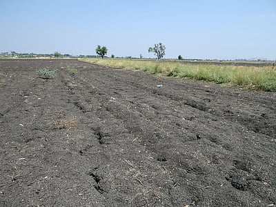 suelo negro, regur, chernozem tropical, agrietado, basálticas, Karnataka, India