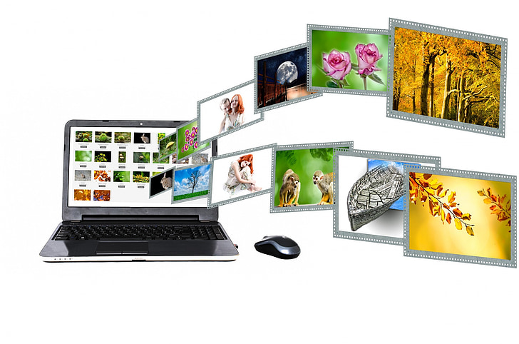 internet, content, portal, search, laptop, concept, business