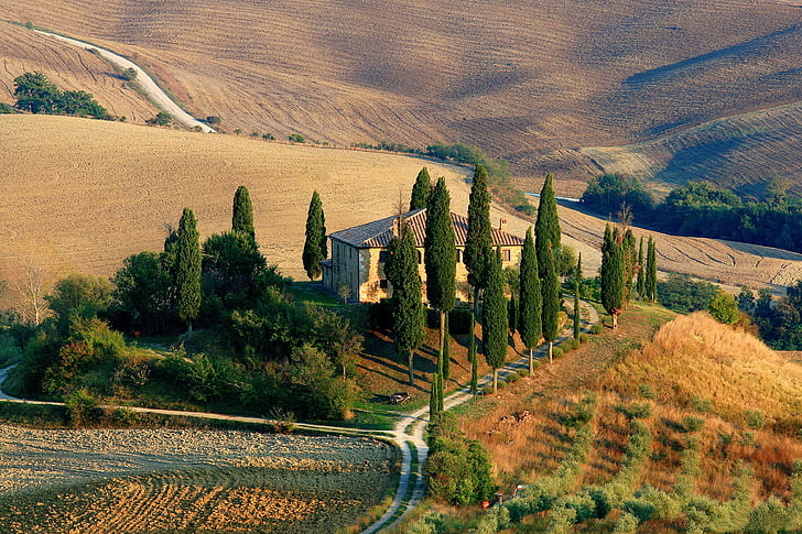 Toscana, maisema, Cypress, maaseudun kohtaus, Hill, Italia, Luonto