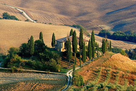 Toscana, paisaje, ciprés, Escena rural, colina, Italia, naturaleza