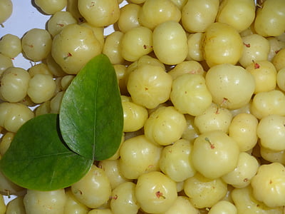 Gans-Beeren, Beeren, GwG, indische Stachelbeere, saure, Obst