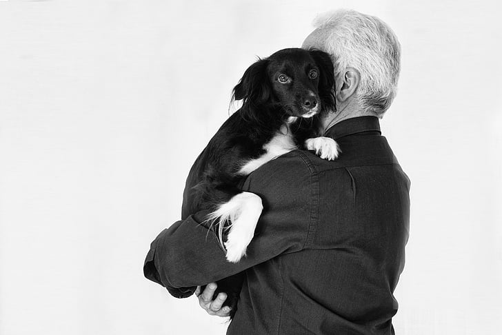PET, dzīvnieki, suns, draugs, melna, vīrietis, mīlu