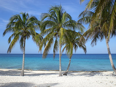 Plaża, morze, wakacje, wody, piasek, Kuba, Natura