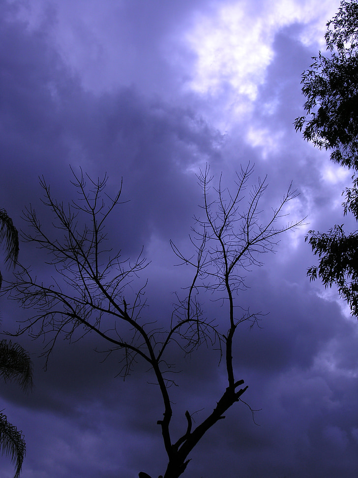 дерево, небо, хмари, Природа, сезон, сцена, відділення