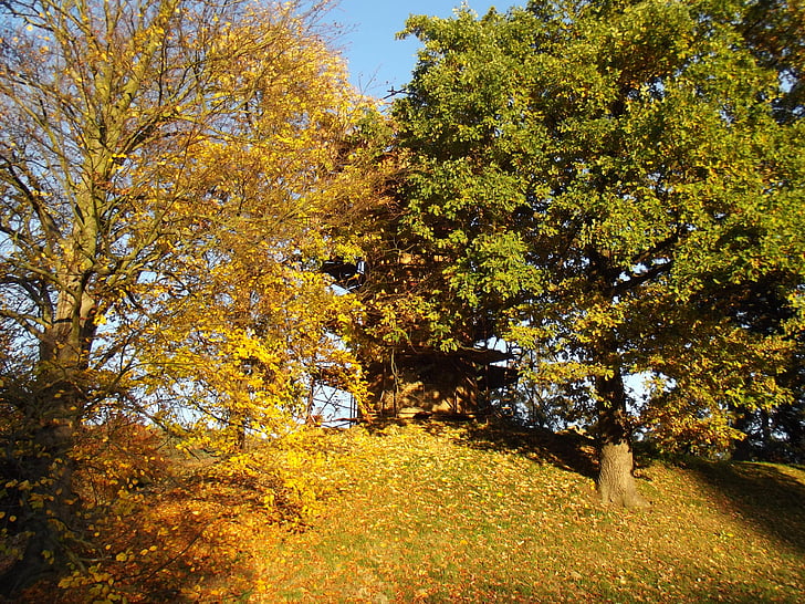 jesen, stabla, lišće, krajolik, vidikovac, lišće, priroda