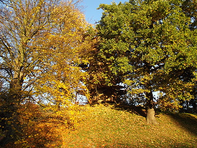 jesień, drzewa, pozostawia, krajobraz, Lookout, liści, Natura