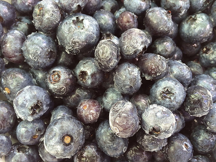 blueberries, fruit, frozen, berry, food, sweet