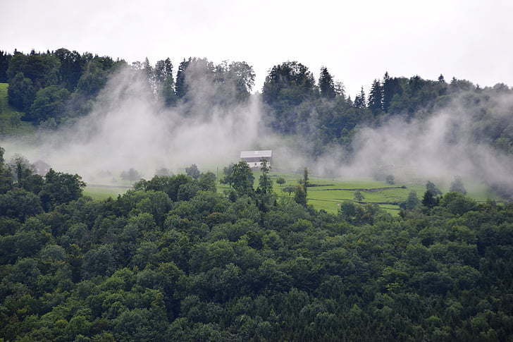 αλπική, δάσος, ομίχλη, Νεφώσεις, Πεζοπορία, των βροχών, Alpe
