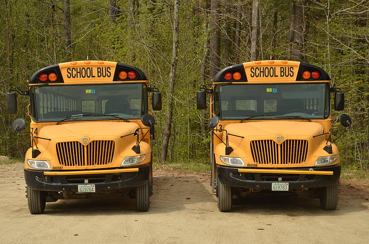 Amerika, buss, schoolbus, skolen, gul, transport, barn