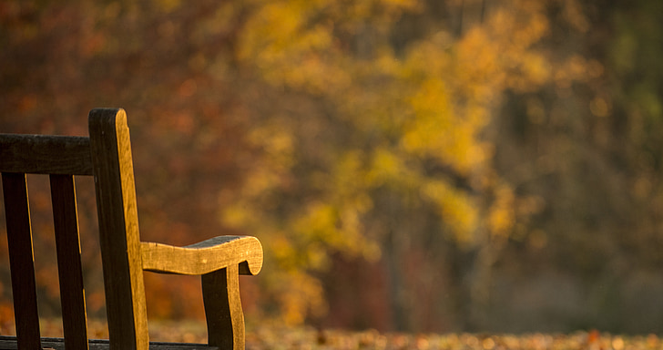 công viên, chỗ ngồi, băng ghế dự bị, Virginia, mùa thu, mùa thu, giờ vàng