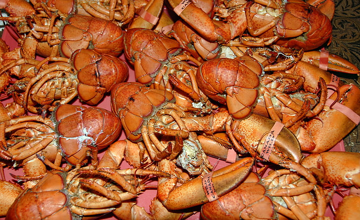 Lobster, dimasak, Makanan, makanan laut, kerang, gourmet, merah