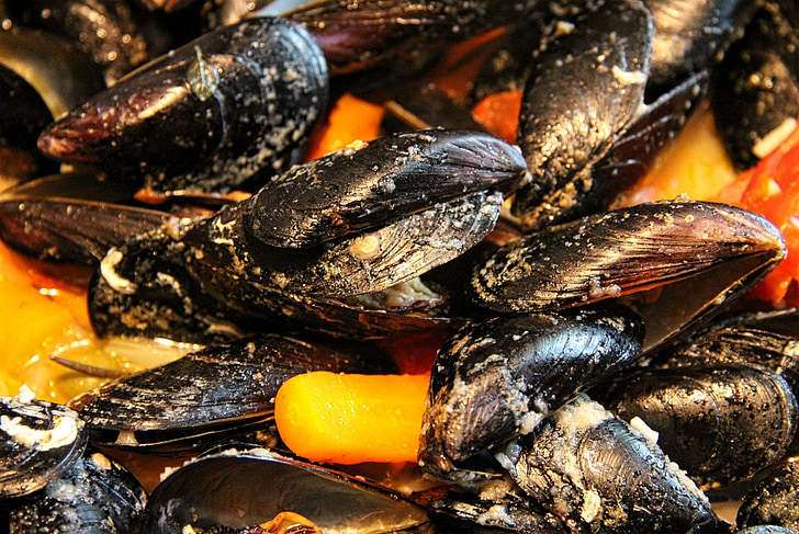 mussels, seafood, mediterranean, delicious, tasty