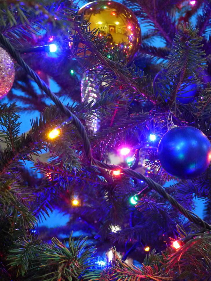 kerstballen, kerstboom verlichting, vakantie, takjes, naald, reed, Kerst