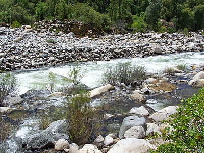 voda, řeka, datový proud, krajina, přírodní, Creek, Krása
