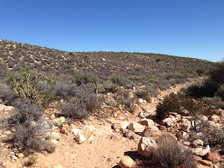 Red rock, Desert, teren, peisaj