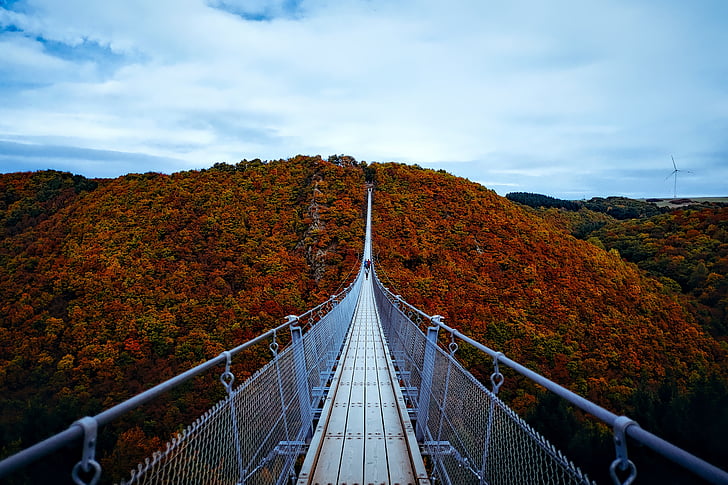 Tyskland, efterår, falder, løv, landskab, Bridge, slugt