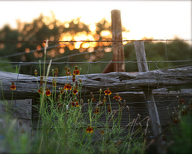 plot, Západ slunce, letní západ slunce, Brána, stará brána, Příroda, dřevo - materiál