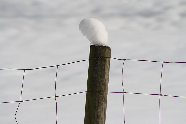 сняг, шапка, телена мрежа ограда