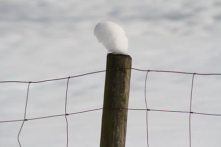 sniego, kepurė, vielos tinklo tvoros