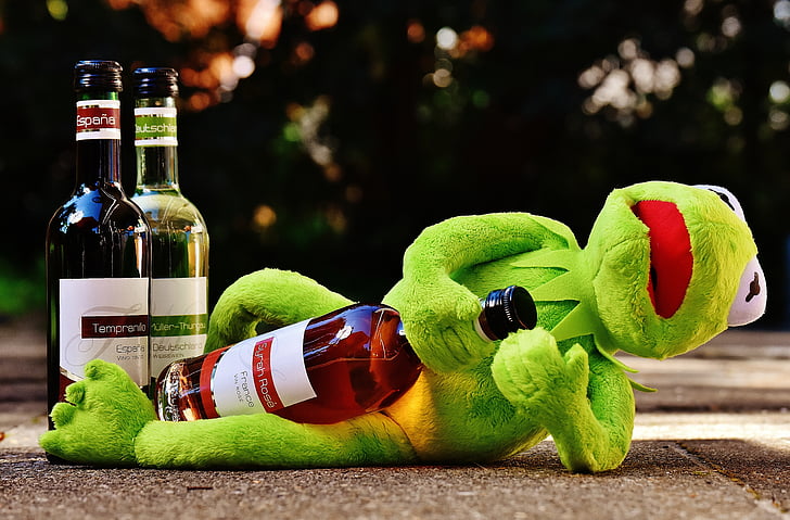 Kermit, žaba, víno, nápoj, alkohol, opitý, zvyšok
