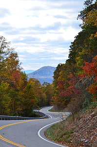 strada, montagna, autostrada, paesaggio, autunno, alberi