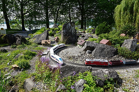 miniature, chemin de fer, nature, train, transport, semblait, Mainau