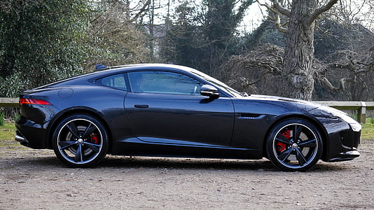 Jaguar, voiture de sport, rapide, automobile, type f, luxe, voiture