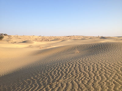 Desert, India, Príroda, tŕnisté, suchých, hloh, Sky