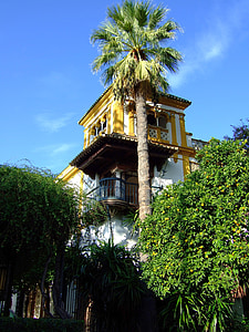 Sevilija, Santa cruz, Andalūzija, Ispanija