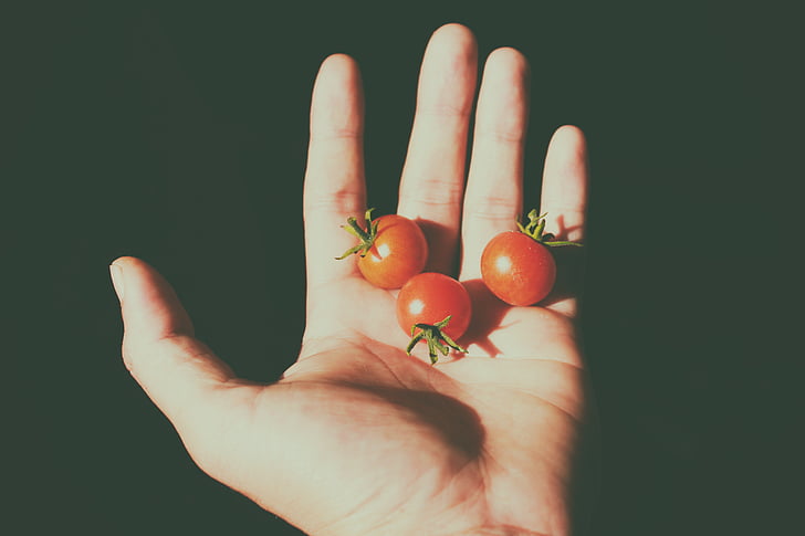 tomater, Tiny, hand, frukter, mat, skugga, lampor