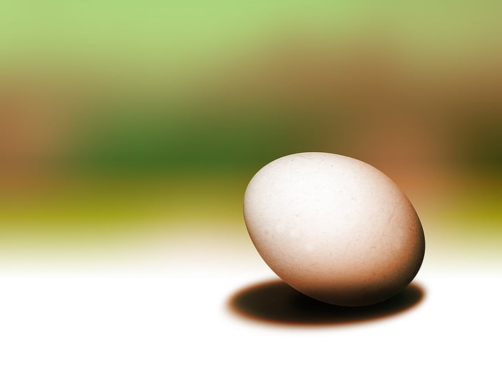vejce, vajíčko, Velikonoce, žádní lidé, detail, sportovní, čerstvosti