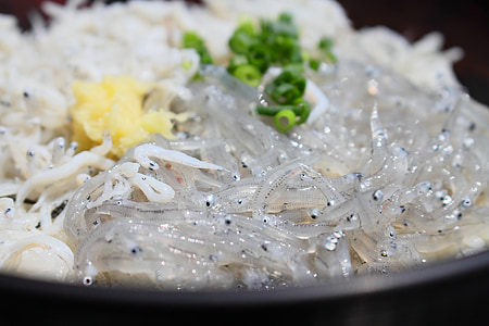 shirasu, Chanquete, tagonoura, Shizuoka, tazón de fuente de arroz rematado con sashimi, gourmet, Bol de arroz