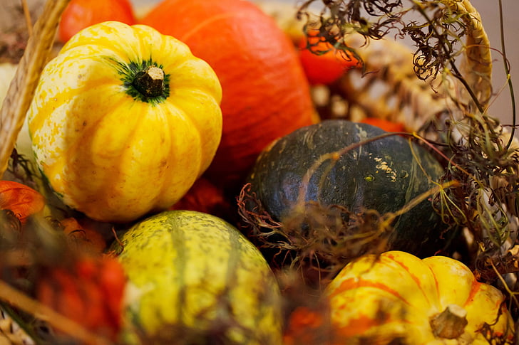 agricultura, otoño, colorido, cultivo, caída, alimentos, fresco