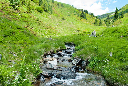 hory, pěší turistika, Bach, Příroda, krajina, alpské, Horská Turistika