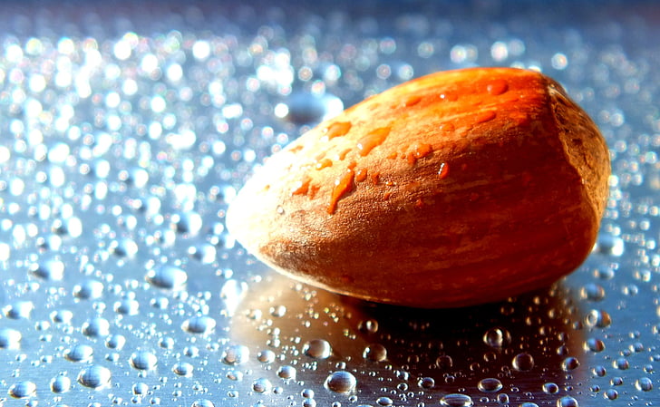 walnut, water, drops of water, drops, the background, closeup, macro