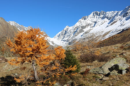 Thuỵ Sỹ, lötschental, núi, Valais, mùa thu, cảnh quan, Alpine