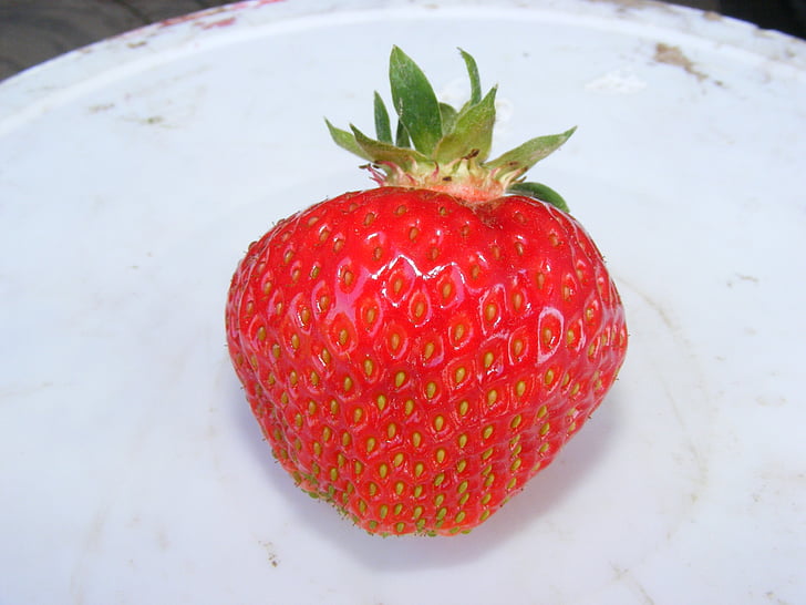 jordgubbe, frukt, en enda bit av frukt, äta, mat, Söt, sommar